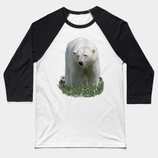 Polar Bear Baseball T-Shirt